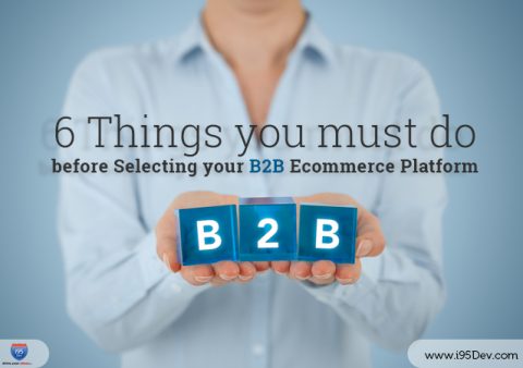 6 Things You Must Do Before Selecting Your B2B Ecommerce Platform – I95dev